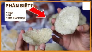 Tiêu chí phân biệt yến sào thật giả